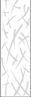 NA-03