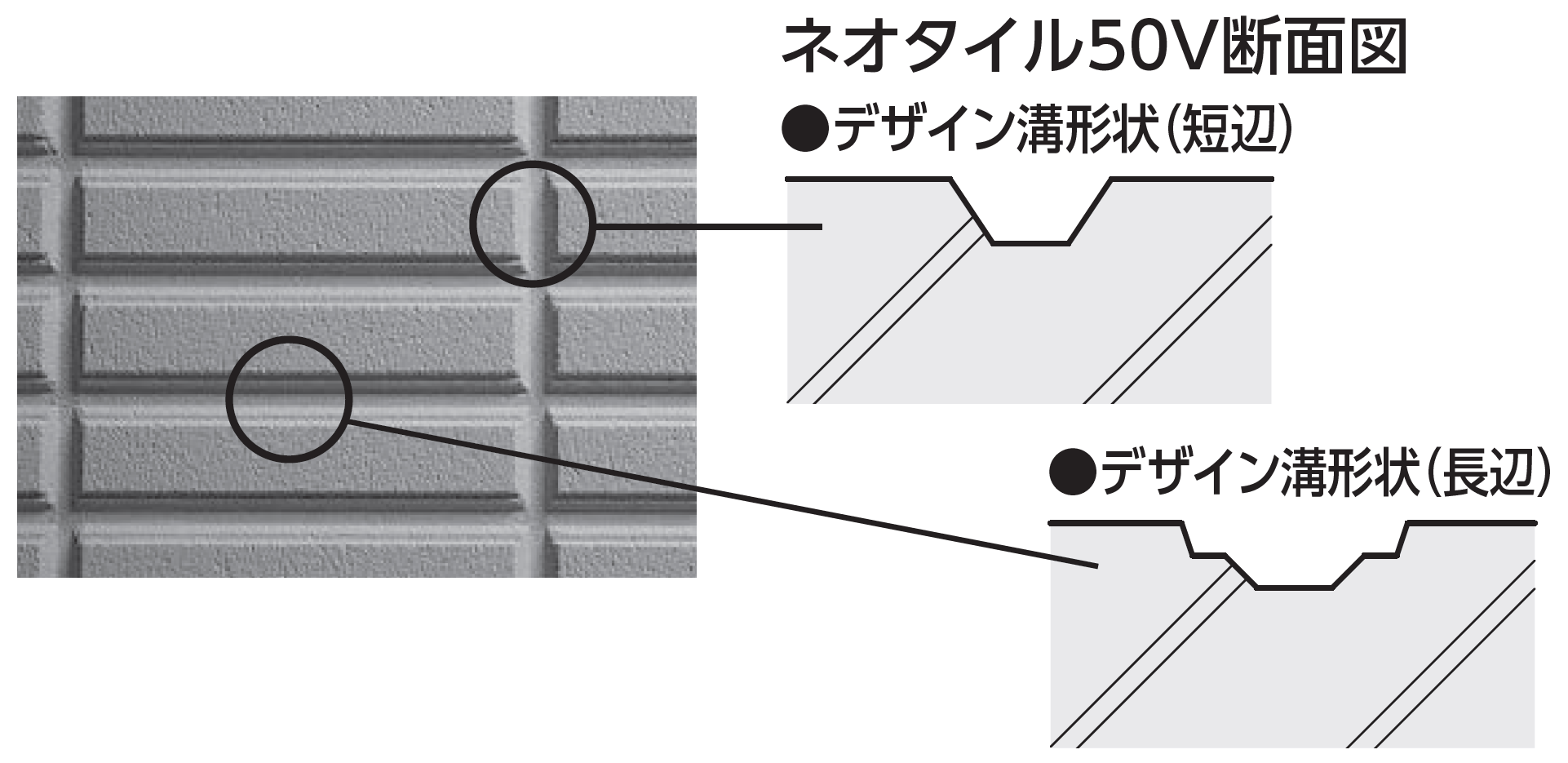 ネオタイル50V 斷面図